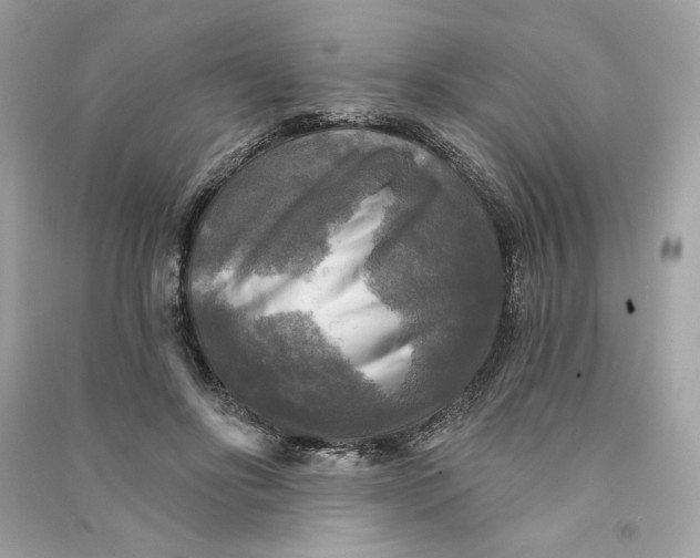 X0000090770502200708101813