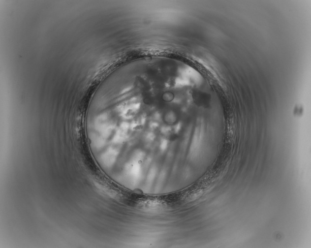 X0000090770503200708101813