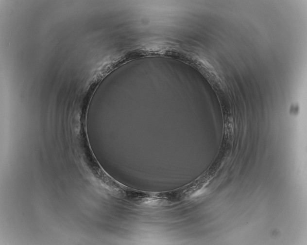 X0000090770504200708101813