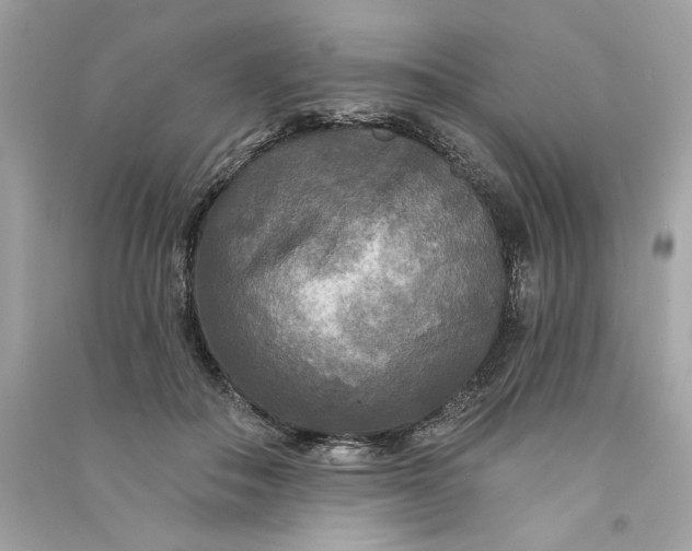X0000090770506200708101813