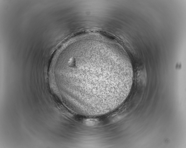 X0000090770508200708101813