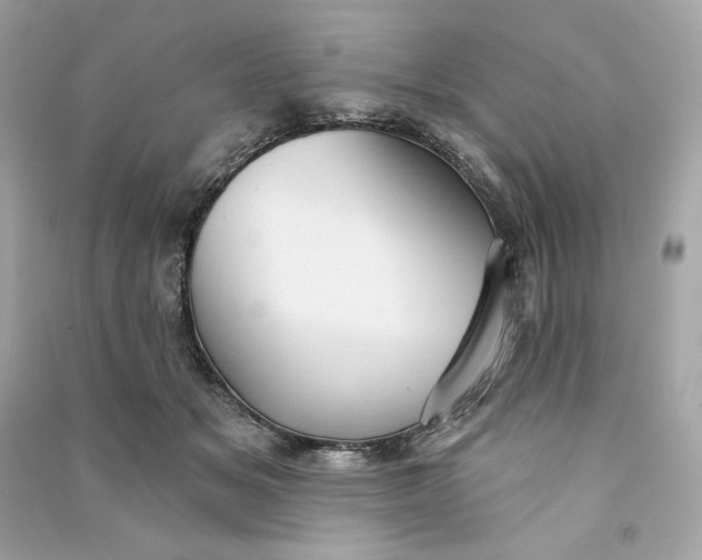 X0000090770509200708101813