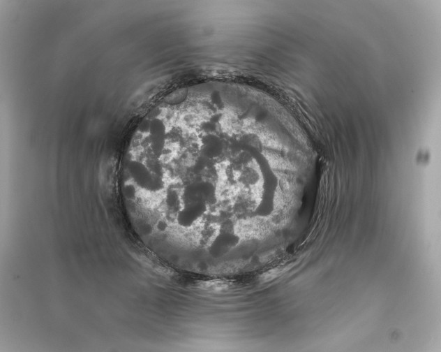 X0000090770511200708101813