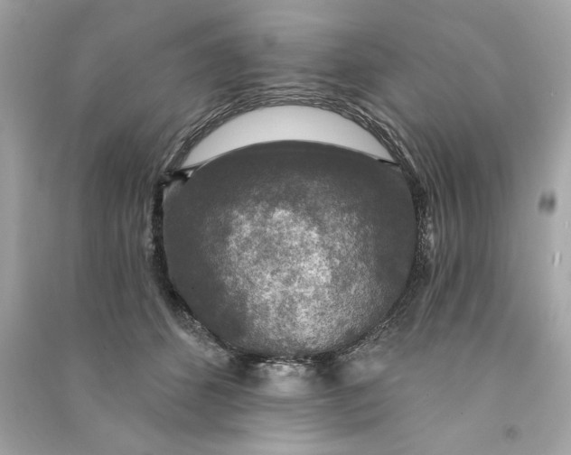 X0000090770512200708101813