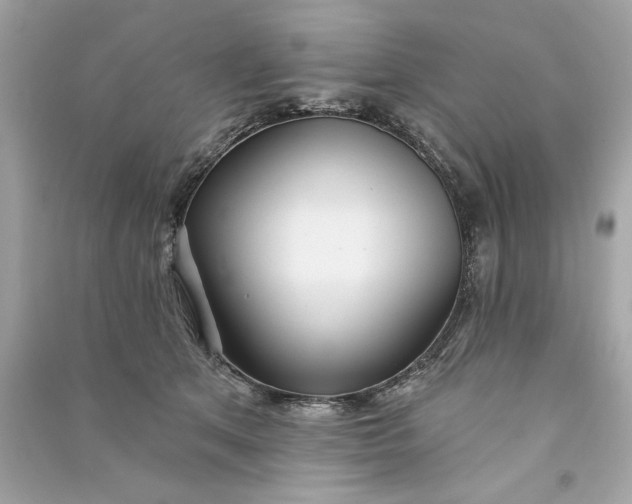 X0000090770513200708101813