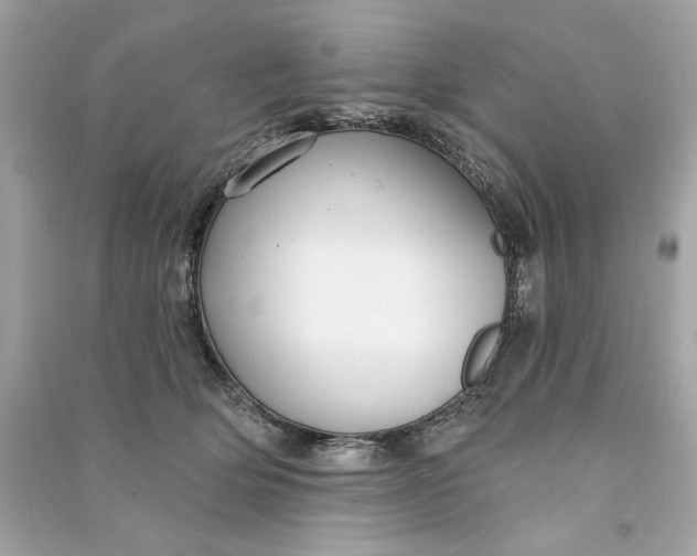 X0000090770514200708101813