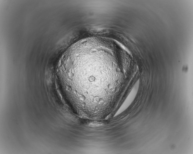 X0000090770515200708101813