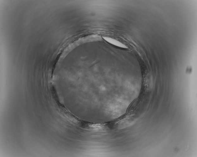 X0000090770516200708101813