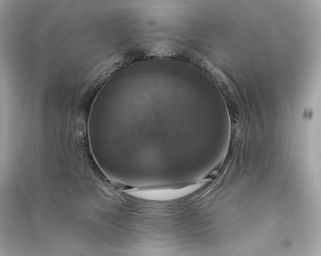 X0000090770517200708101813