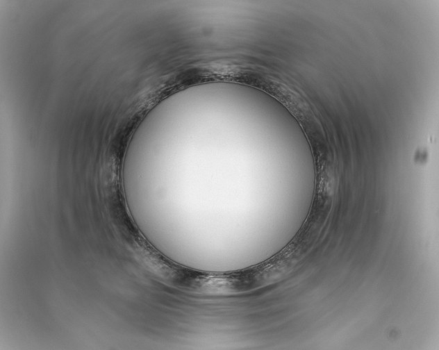 X0000090770518200708101813