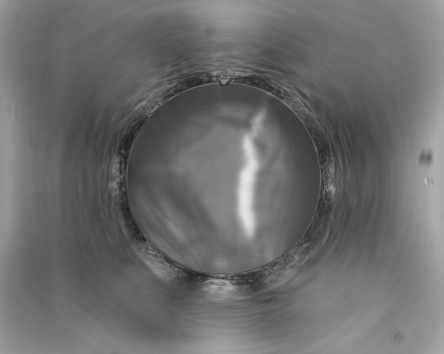 X0000090770519200708101813