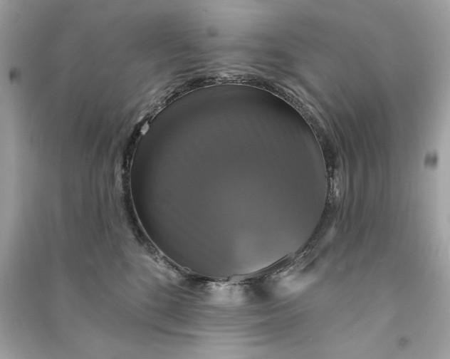 X0000090770520200708101813