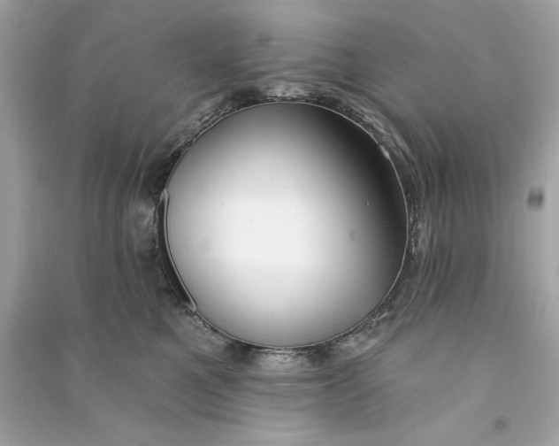 X0000090770521200708101813