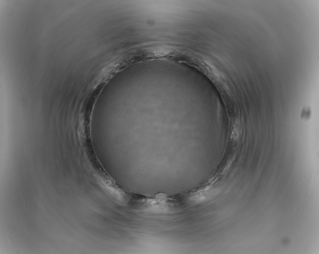 X0000090770524200708101813