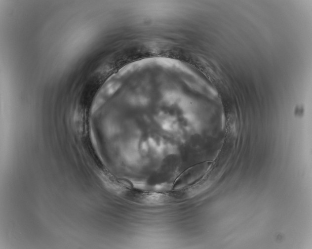 X0000090770527200708101813