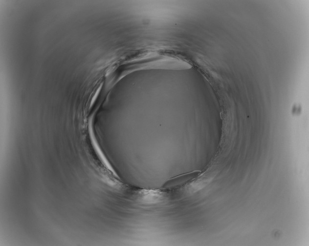 X0000090770528200708101813