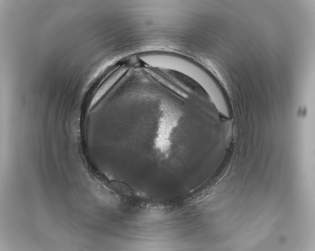 X0000090770531200708101812