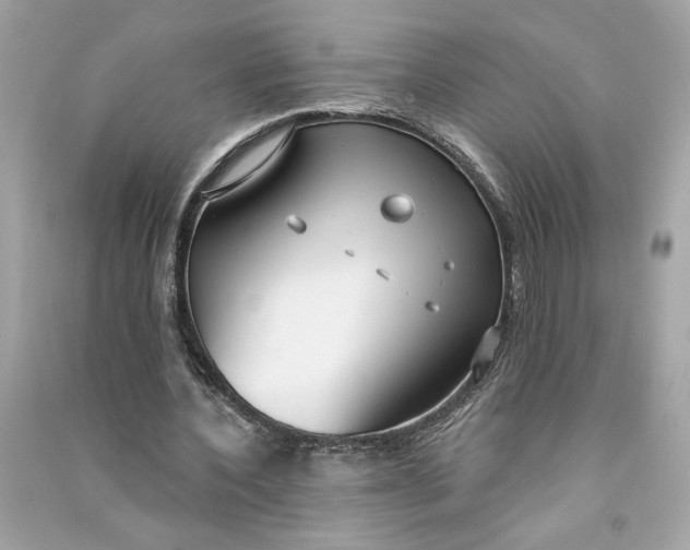X0000090770532200708101812