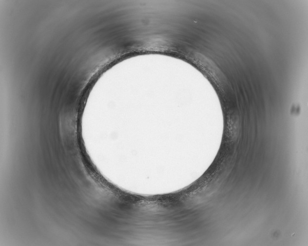 X0000090770534200708101812