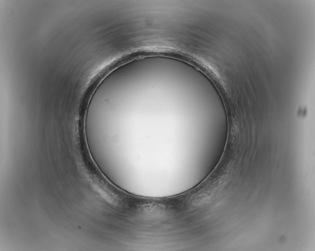 X0000090770535200708101812