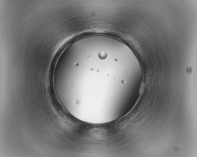 X0000090770536200708101812