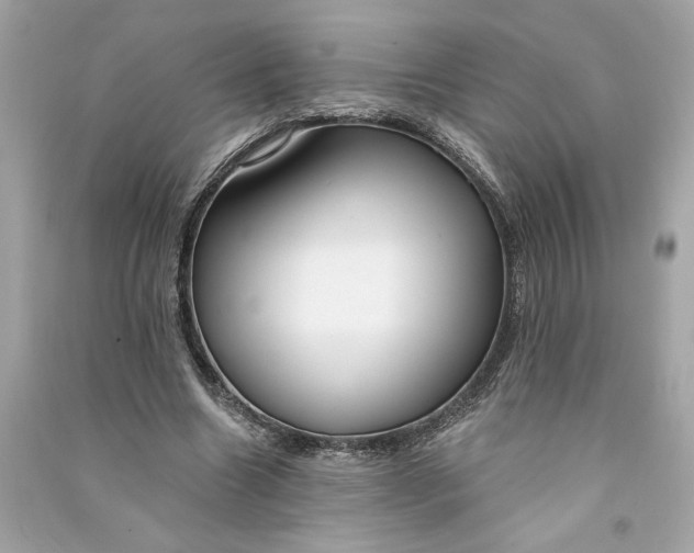 X0000090770538200708101812