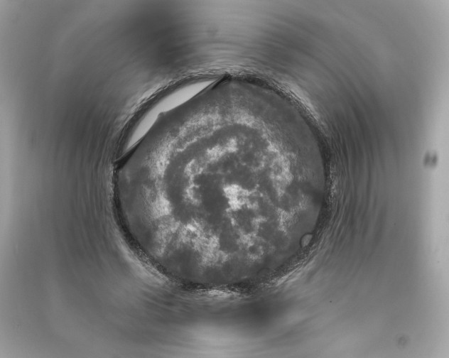 X0000090770542200708101812