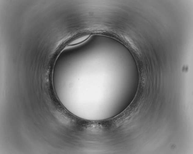 X0000090770543200708101812