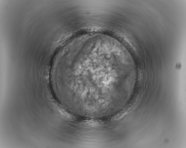X0000090770545200708101812