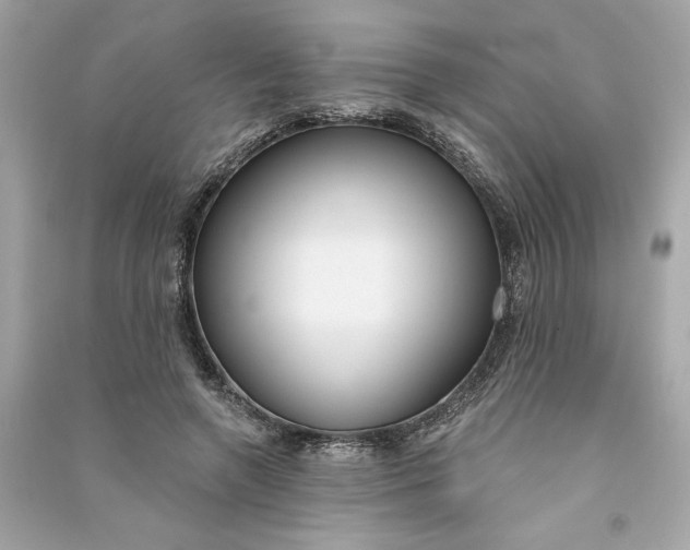 X0000090770546200708101812