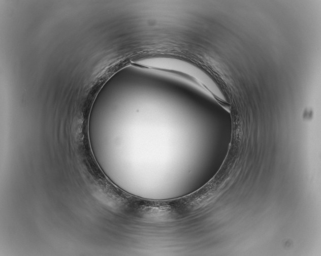 X0000090770548200708101812