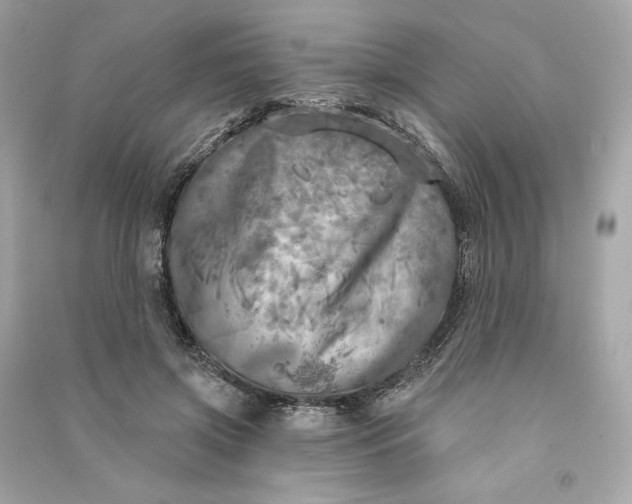 X0000090770549200708101812