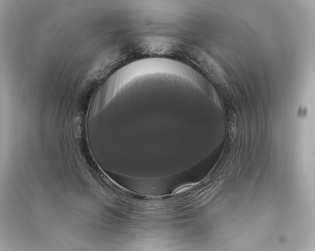 X0000090770551200708101812