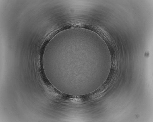 X0000090770552200708101812