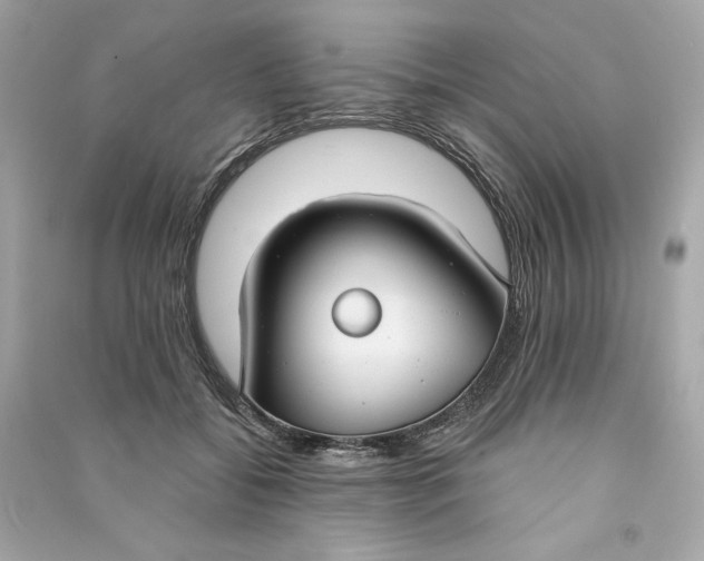 X0000090770556200708101812