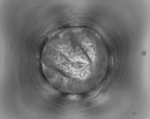X0000090770557200708101812