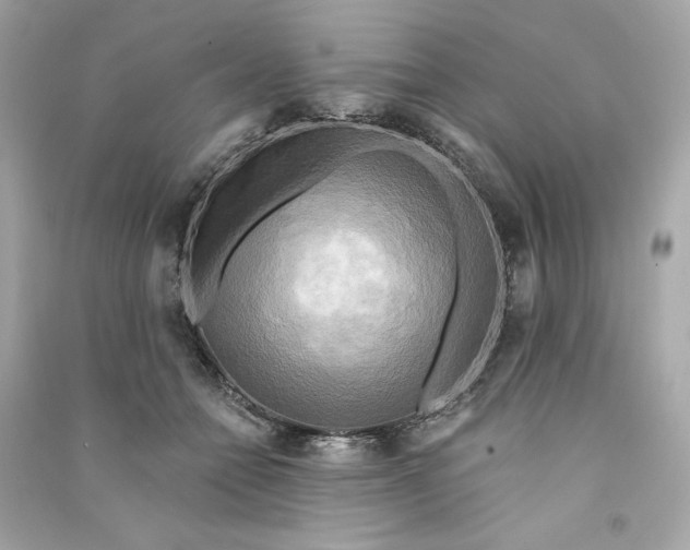 X0000090770558200708101812