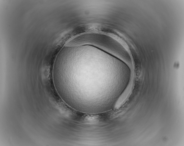 X0000090770560200708101812