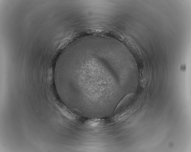 X0000090770563200708101812