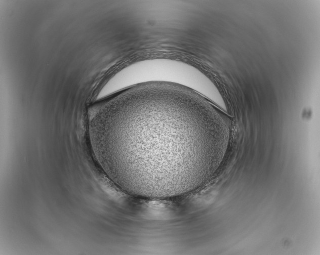 X0000090770566200708101812