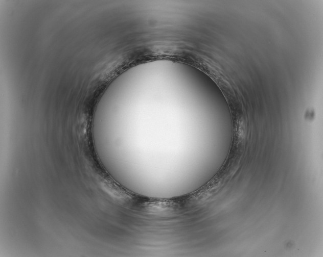 X0000090770567200708101812