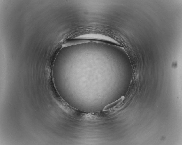 X0000090770568200708101812