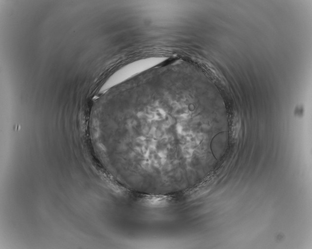 X0000090770569200708101812