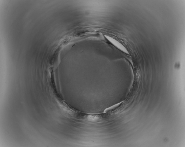 X0000090770570200708101812