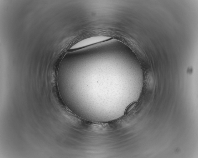 X0000090770571200708101812