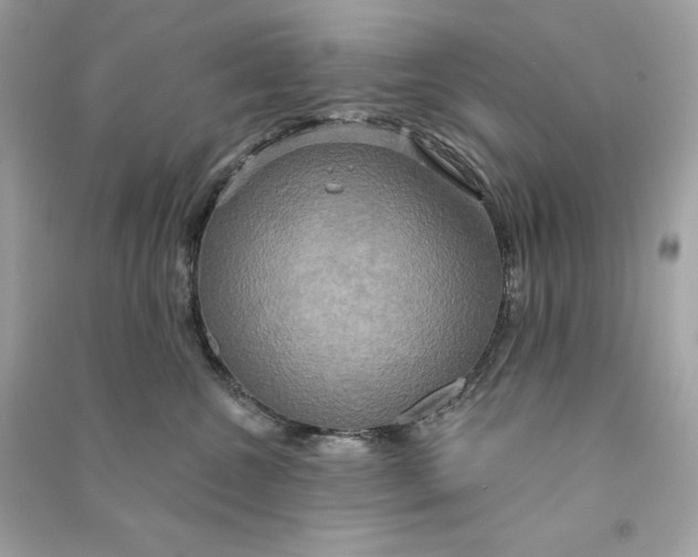 X0000090770572200708101813