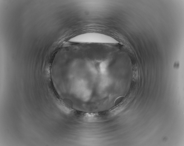 X0000090770573200708101813