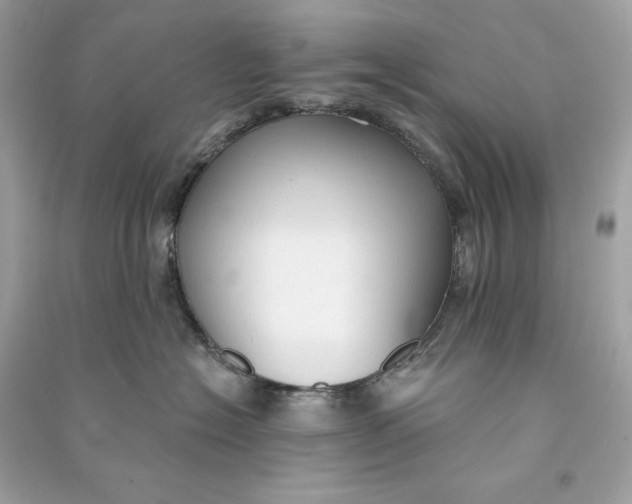 X0000090770574200708101813