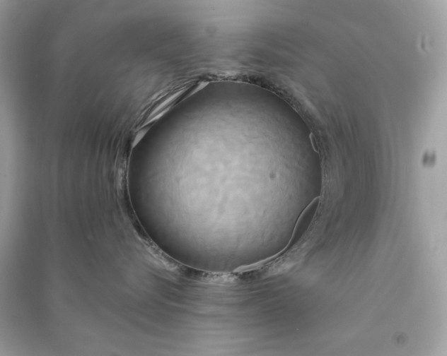 X0000090770576200708101813