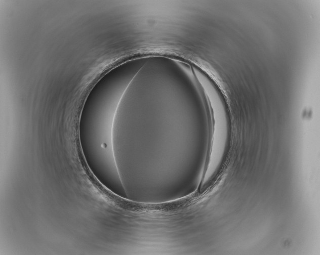 X0000090770577200708101812